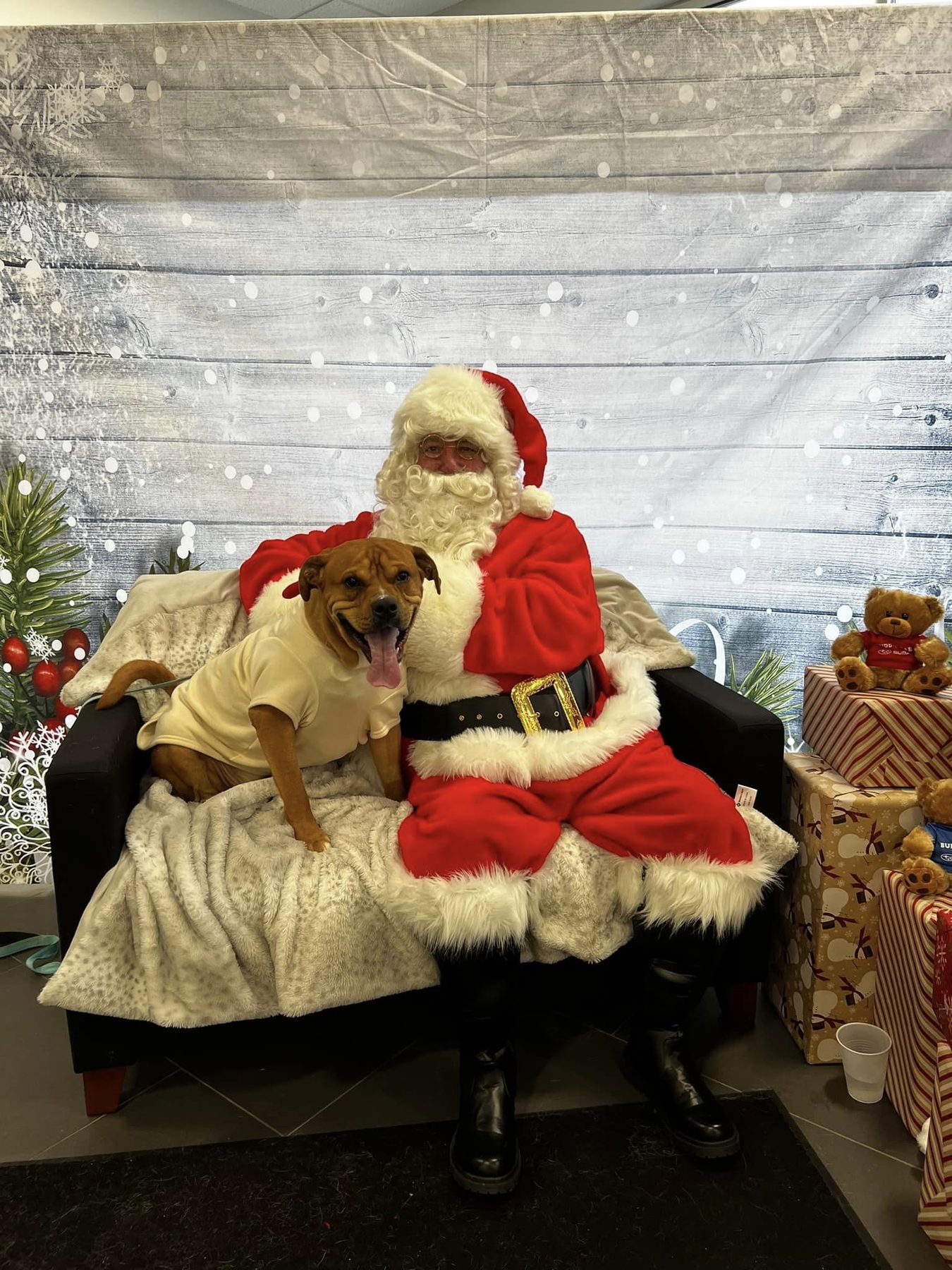 Santa holding a dachshund at the pet photo event
