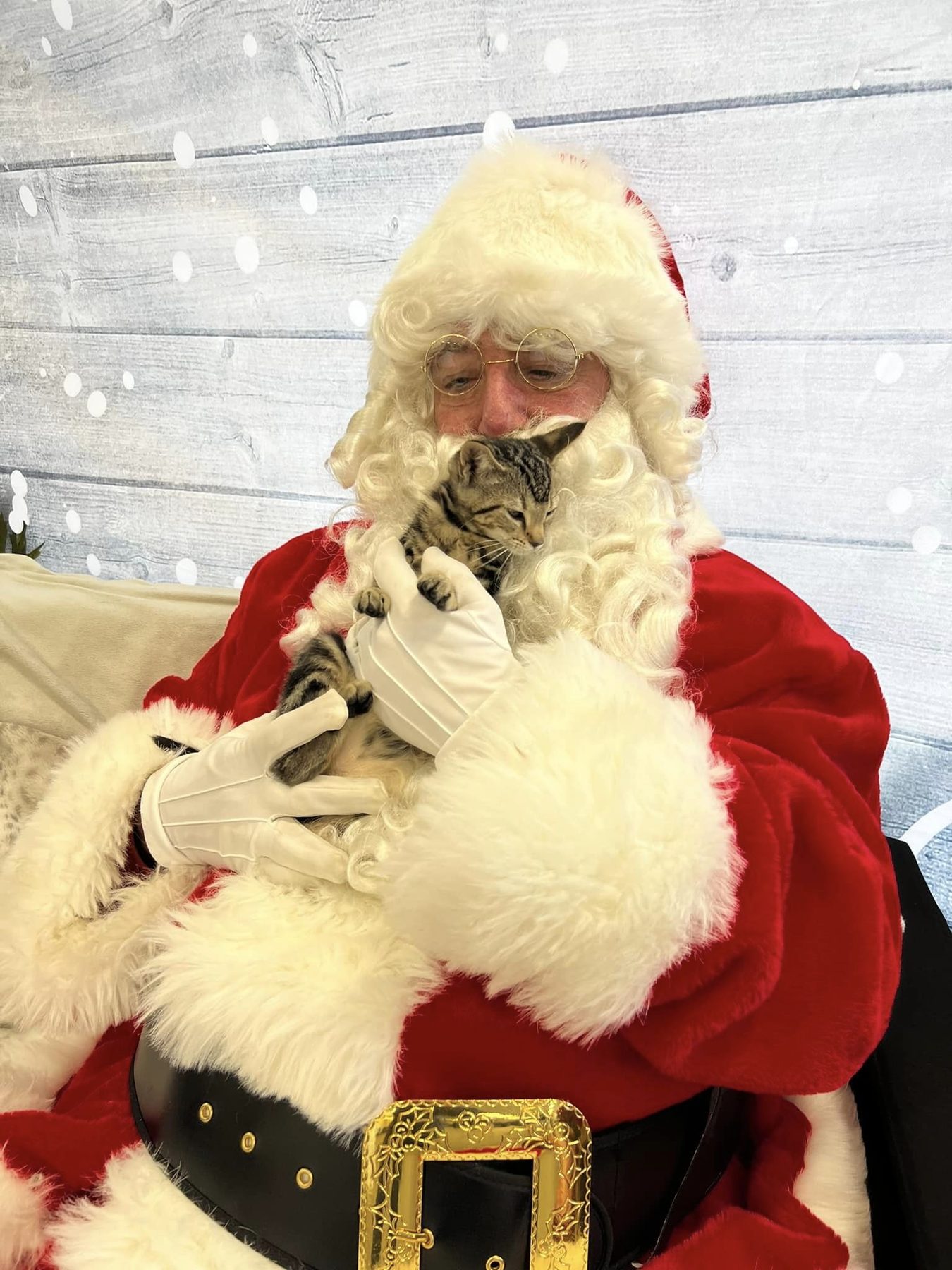 Pet Pictures with Santa